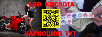 дмт Сланцы