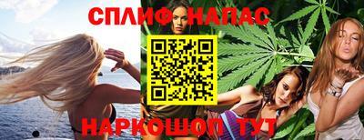 дмт Сланцы