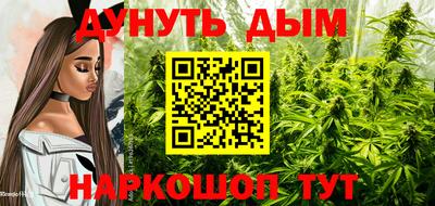 дмт Сланцы