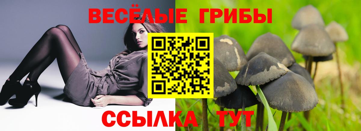 Саянск  Псилоцибиновые грибы мухоморы  цены   Вход с VPN 